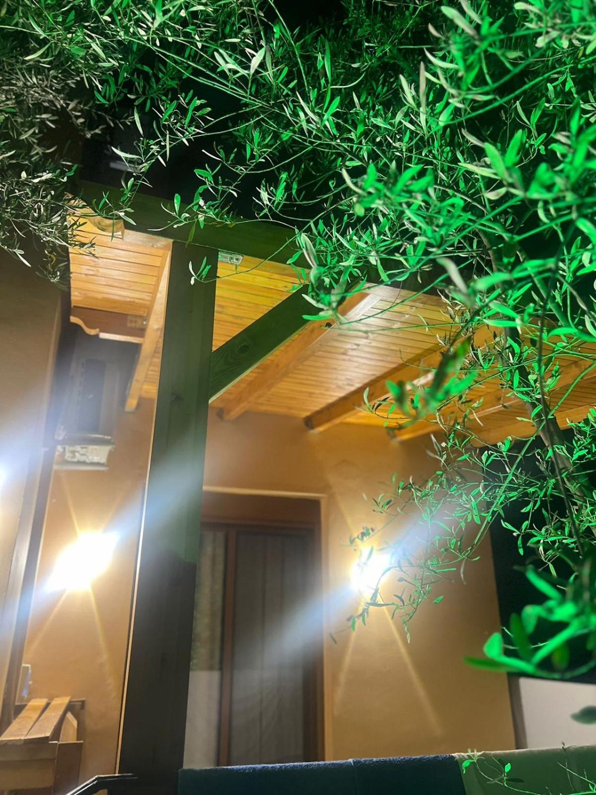 Vila Magis Vlorë Exterior foto